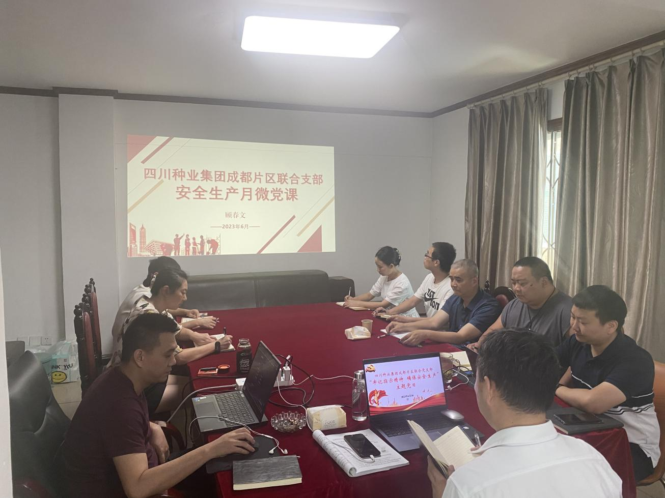 成都片区“服膺批示心灵  确保安全出产”主题党日活动.png