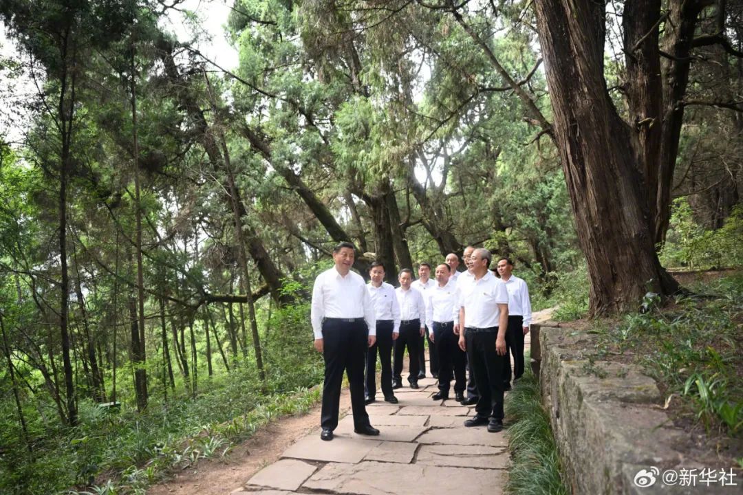 第一议题：习近平总书记在四川调查时的沉要讲话进建心得