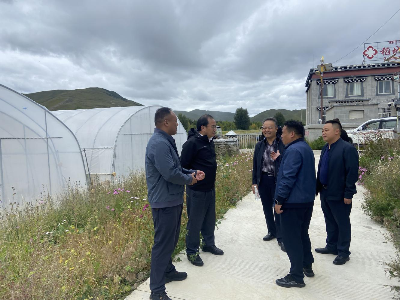 今年会赴稻城县调查调研