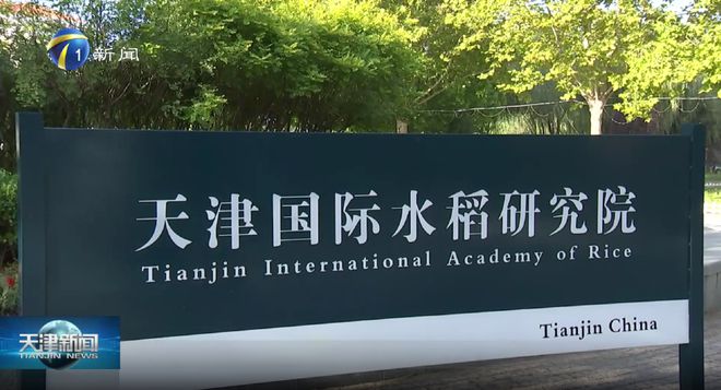 大事务｜10地持续发力种业振兴，，，，，，，，百舸争流谁冲在前？？？？？？？1.jpg