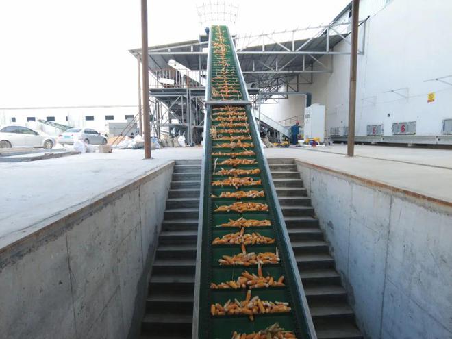 大事务｜10地持续发力种业振兴，，，，，，，，百舸争流谁冲在前？？？？？？？7.jpg