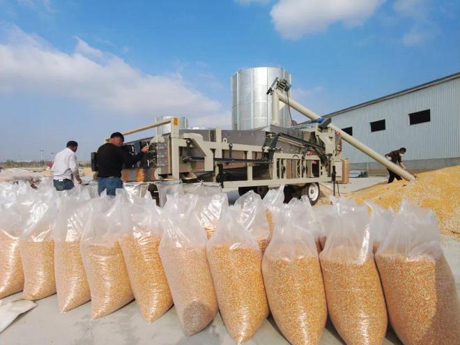 大事务｜10地持续发力种业振兴，，，，，，，，百舸争流谁冲在前？？？？？？？8.jpg