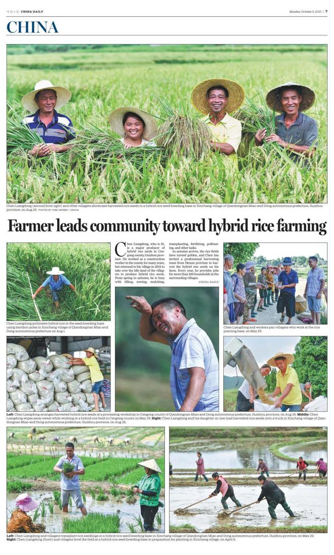 大事务｜10地持续发力种业振兴，，，，，，，，百舸争流谁冲在前？？？？？？？12.jpg