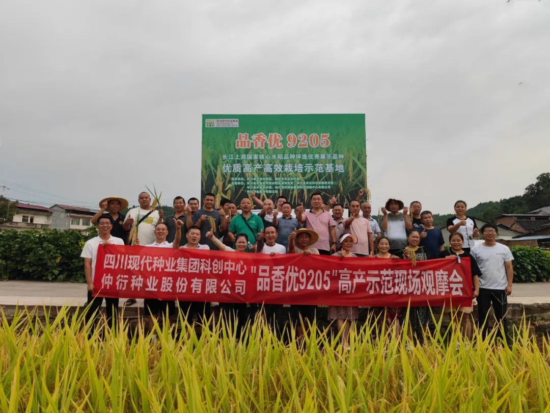 均匀亩产797.7公斤！集团水稻种类“品香优9205”高产示范方实收测产1.jpg