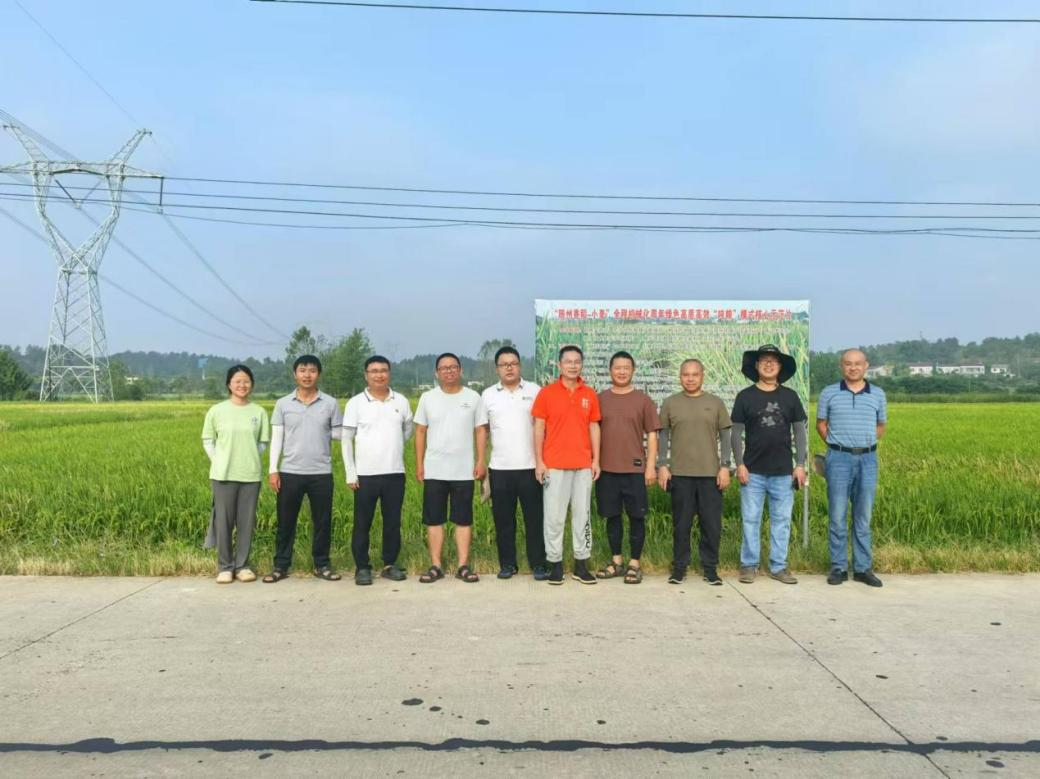 科创中心组织发展2024年四川天府科企结合体长江中下游水稻试验调查工作2.png