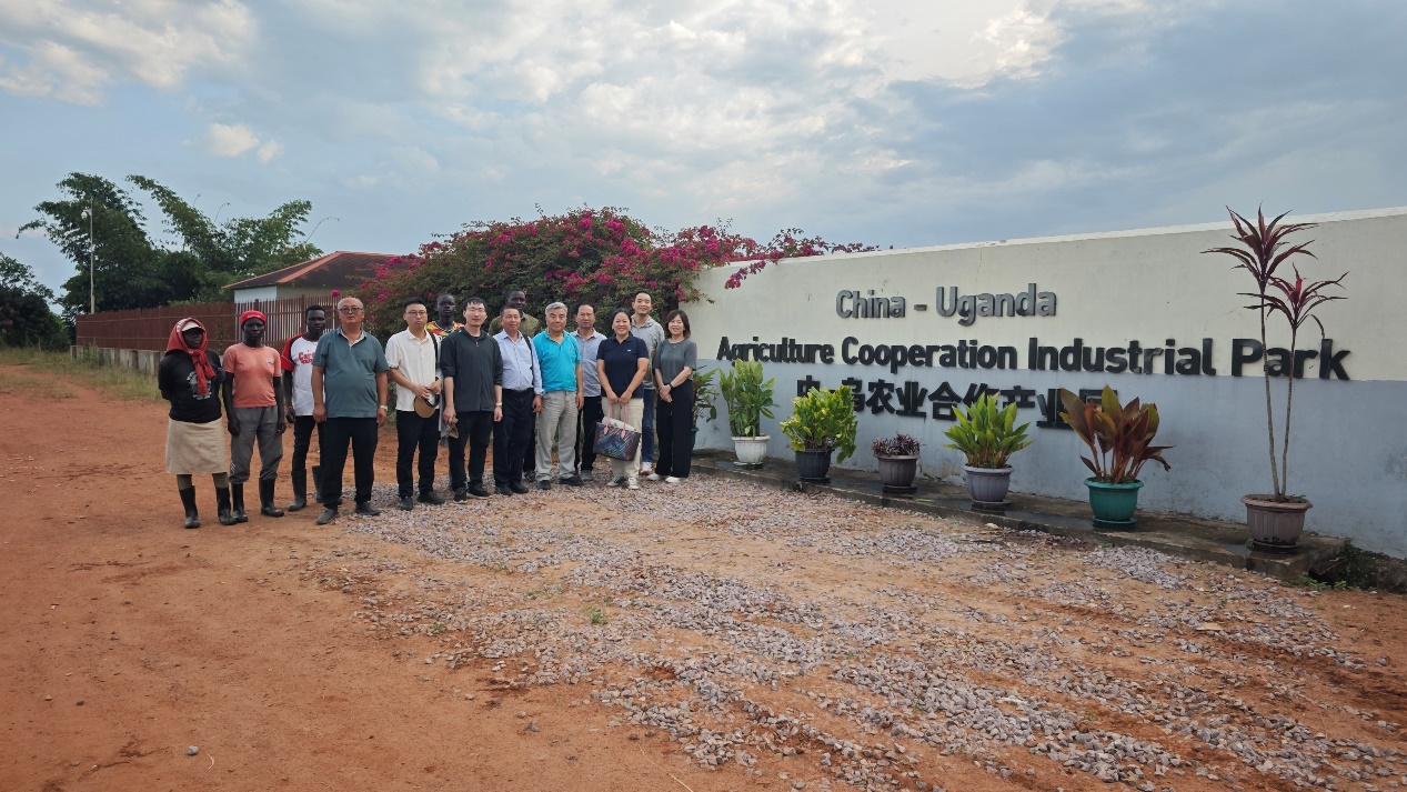 四川农业专家团调查仲衍种业乌干达试验点2.png