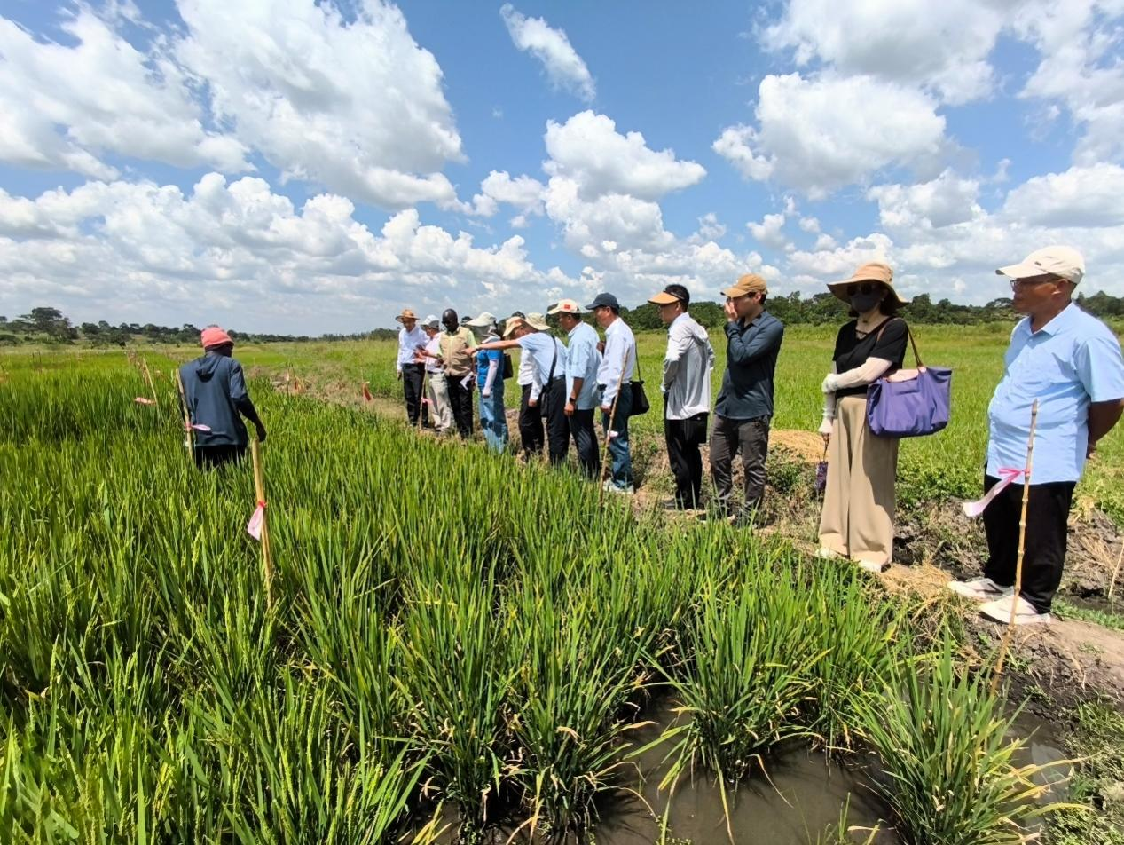 四川农业专家团调查仲衍种业乌干达试验点3.png