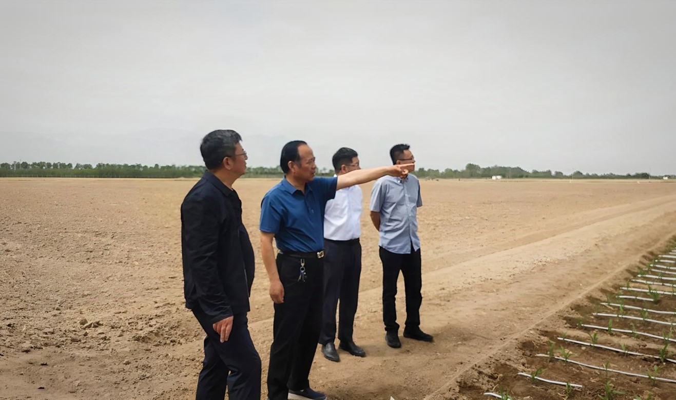 今年会赴陕西、河南进建调查