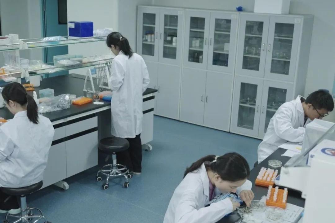 彰显种业科技硬实力！今年会结合共建尝试室入选省沉点