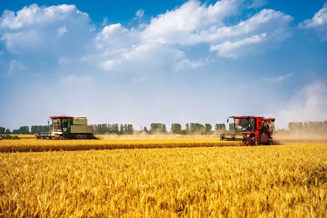 加快新种类新技术推广利用 支持粮油作物大面积单产提升 ——农业村落部有关掌管人就2025年国度农作物良好种类推广目录和农业主导种类主推技术答记者问