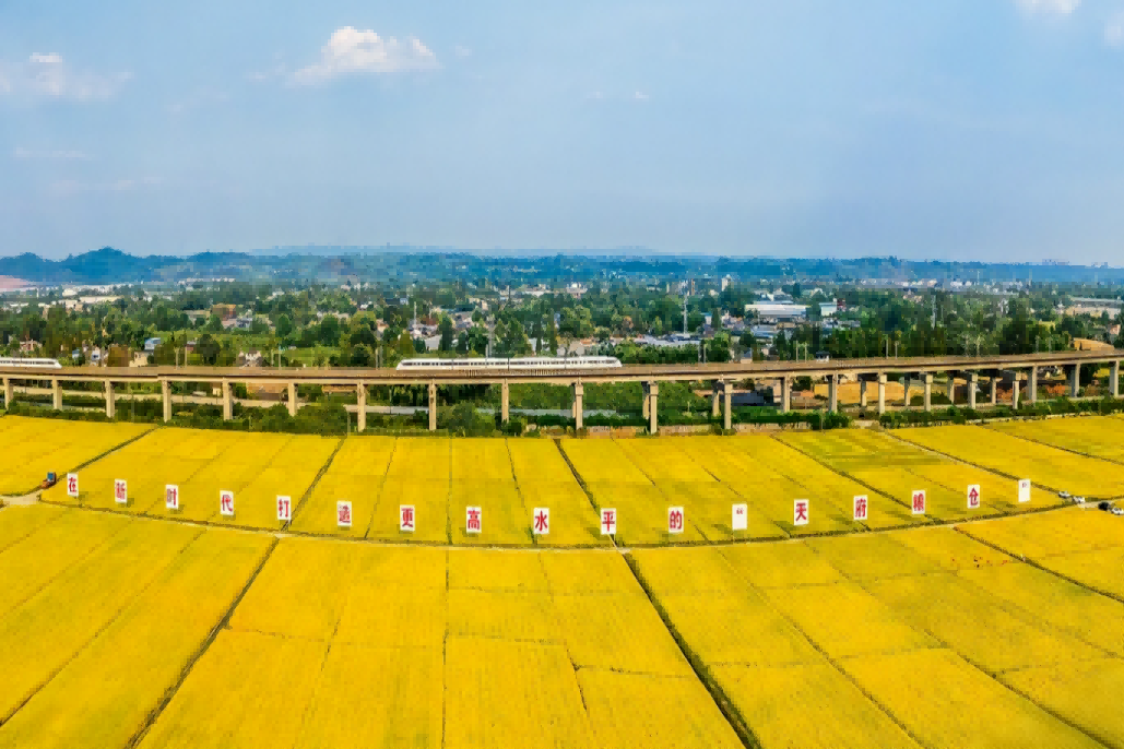 从“5”个维度 回望今年会的2025年