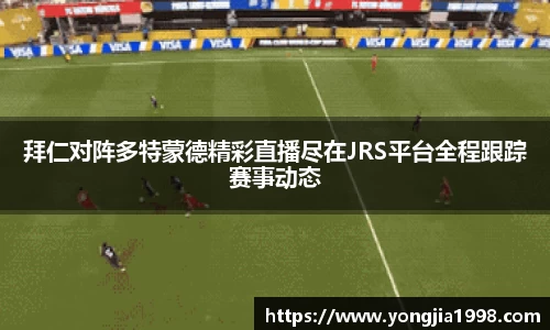 yy易游
