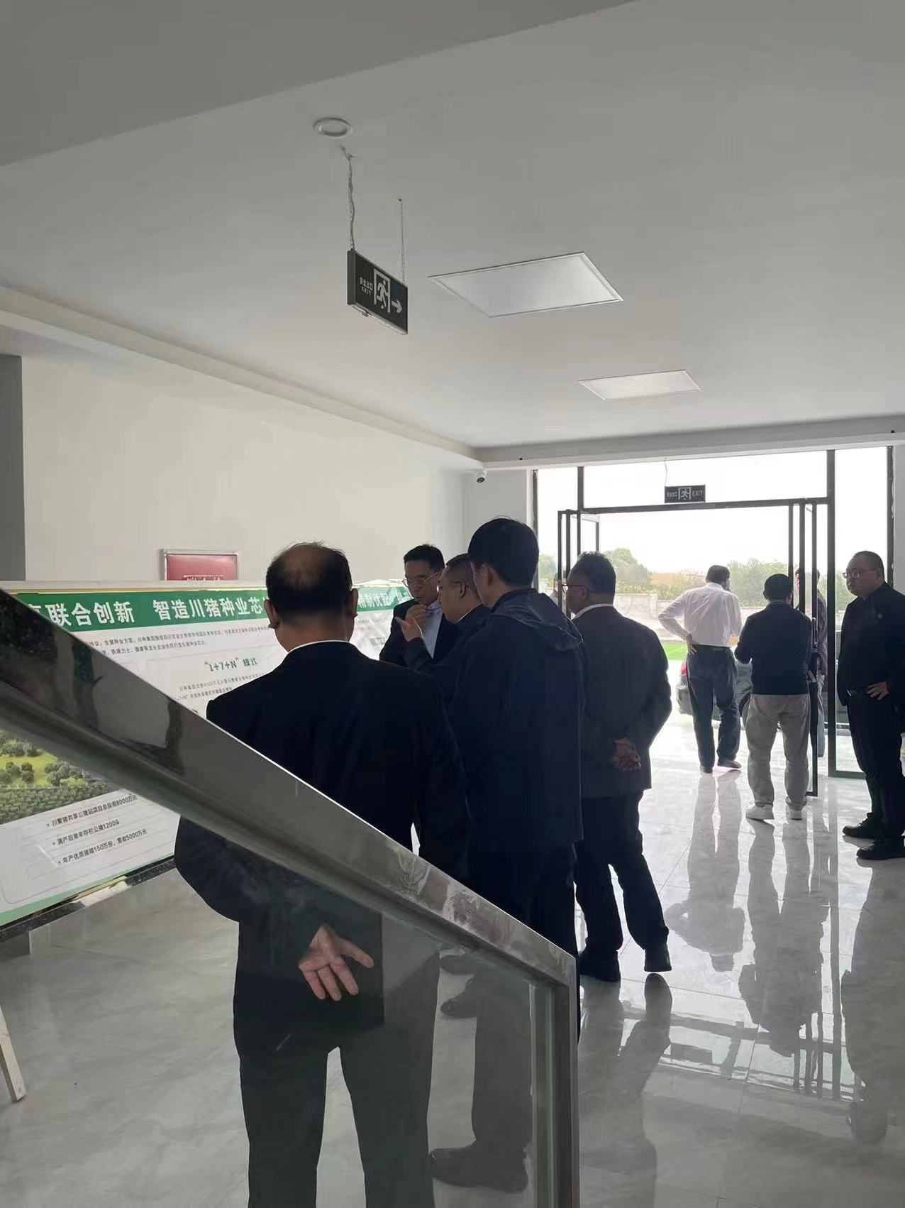 农业村落厅党组成员李宇飞带队到川繁猪公司调研