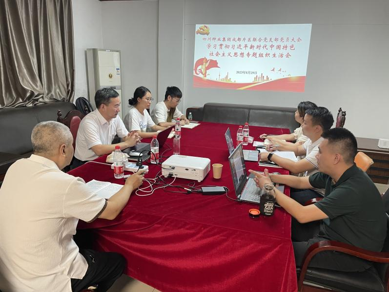 成都片区结合党支部组织召开主题教育专题组织生涯会.png