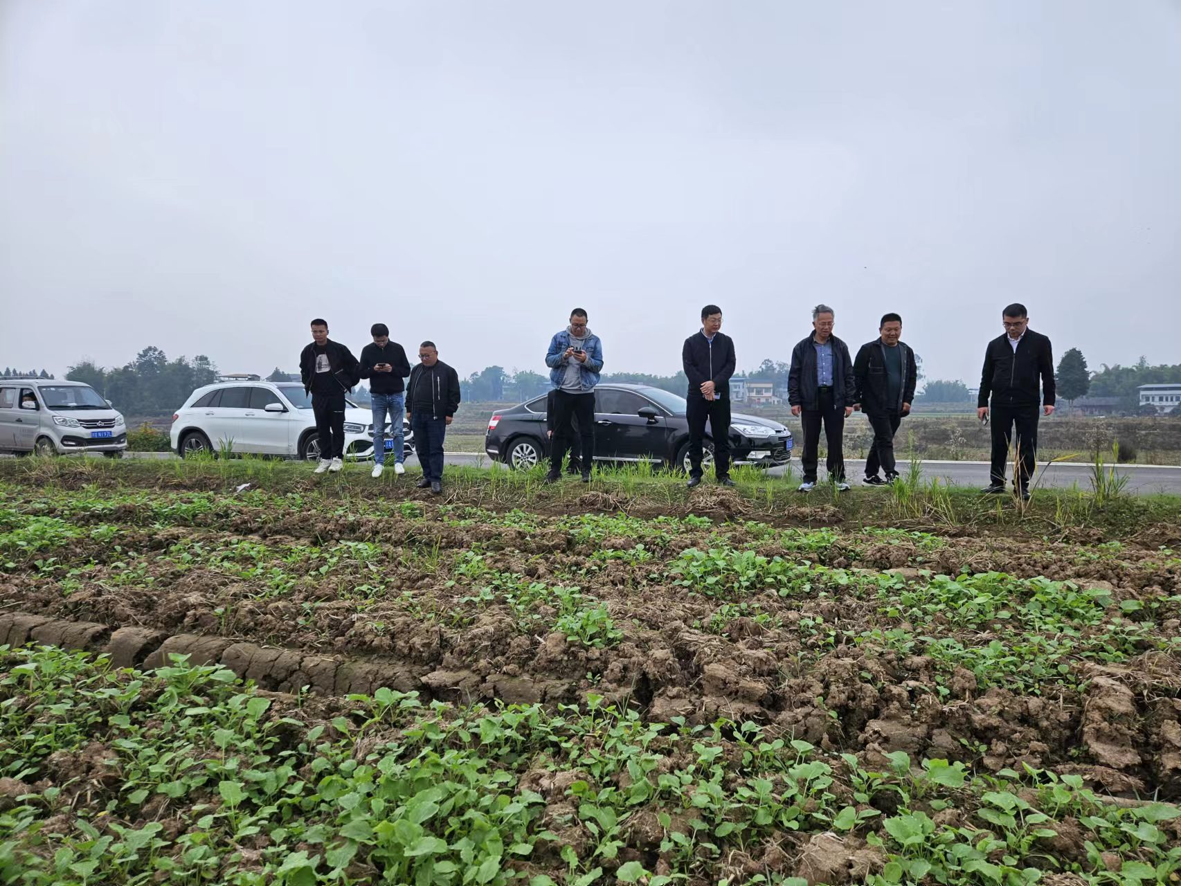 西南大学李加纳教授一行调研领导川东（广安）油菜基地种业产业项目