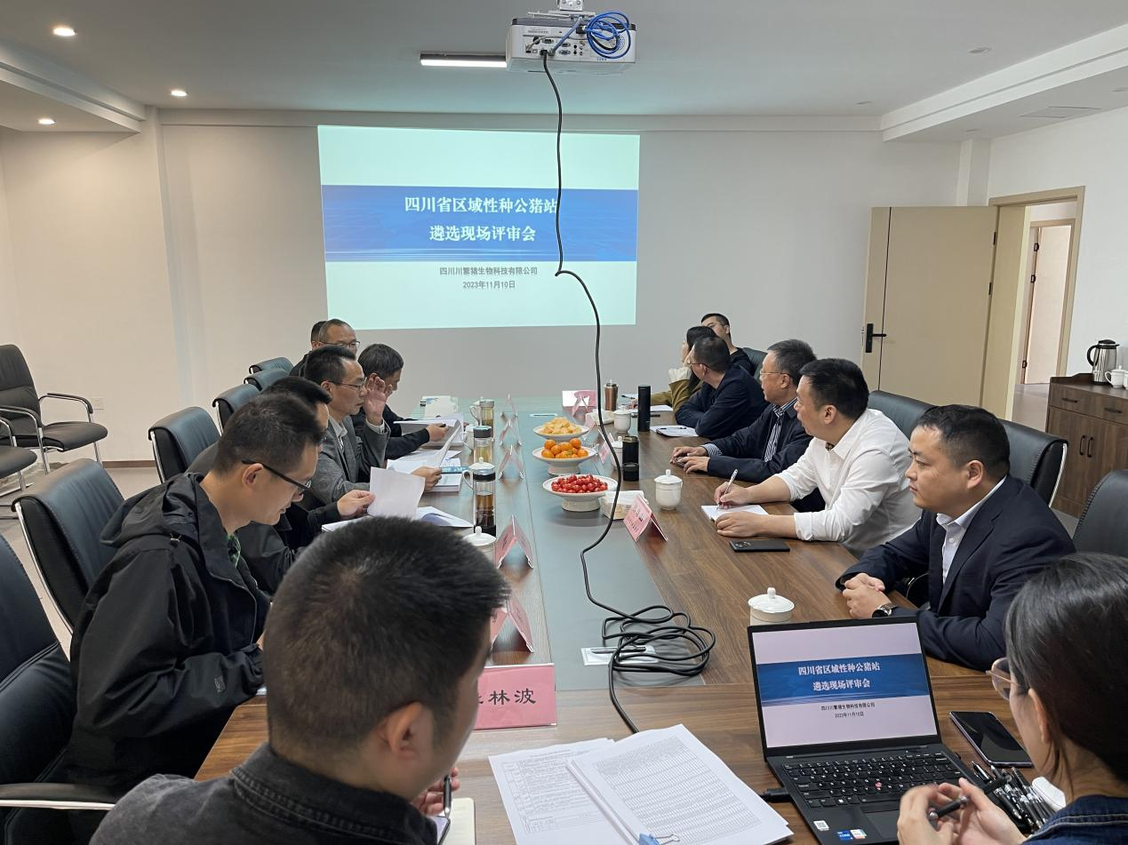 四川省畜牧科学钻研院率队到川繁猪公司进行四川省区域性种公猪站遴选现场评审