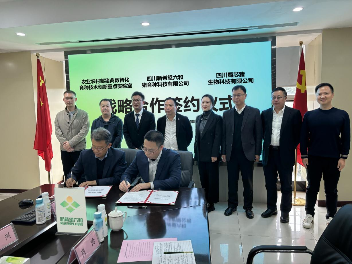 蜀芯猪公司与新但愿六和猪育种科技有限公司签定战术合作和谈.png