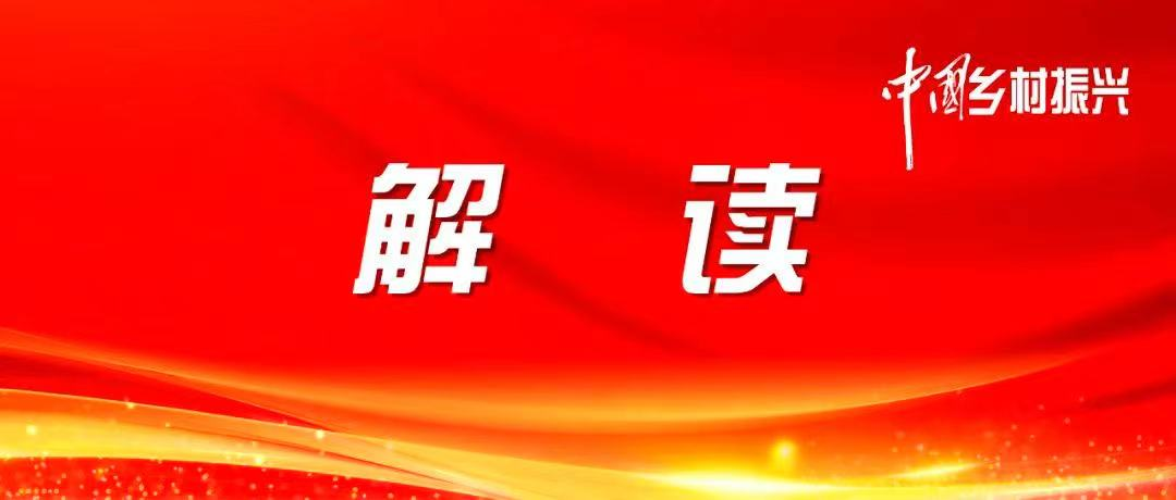 推动村落全面振兴不休获得新功效——中央农办掌管人解读2024年中央一号文件