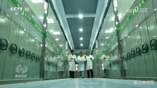 焦点访谈：挺膺担任 强国有我8.png