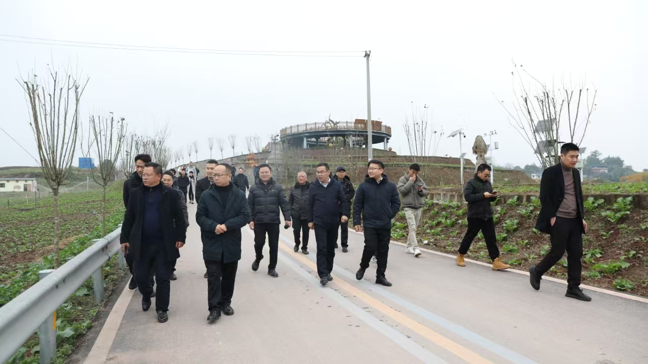 自贡市2025年幼春粮油出产现场会在种芯农业公司基地召开