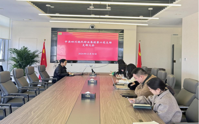 2024年12月31日今年会第六党支部召开支部大会.png
