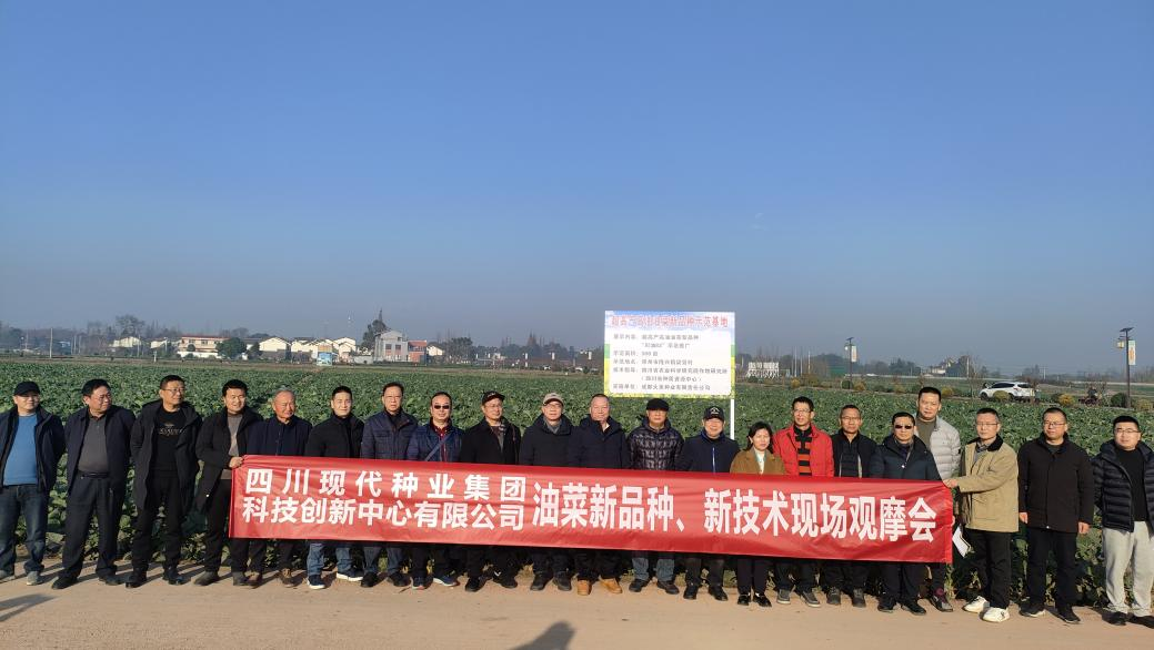 科创中心结合多家单元进行油菜新种类、新技术观摩会