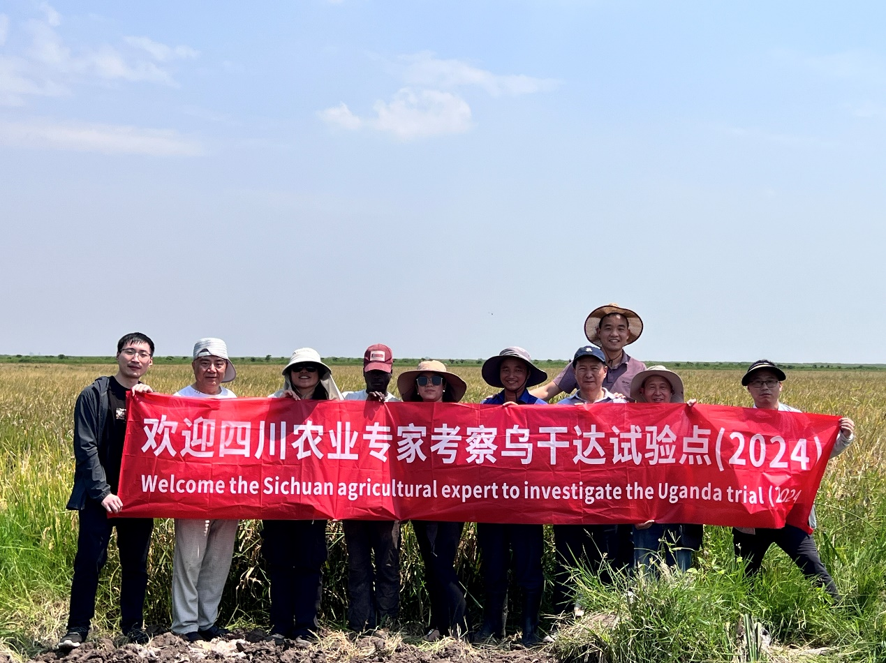 四川农业专家团调查仲衍种业乌干达试验点