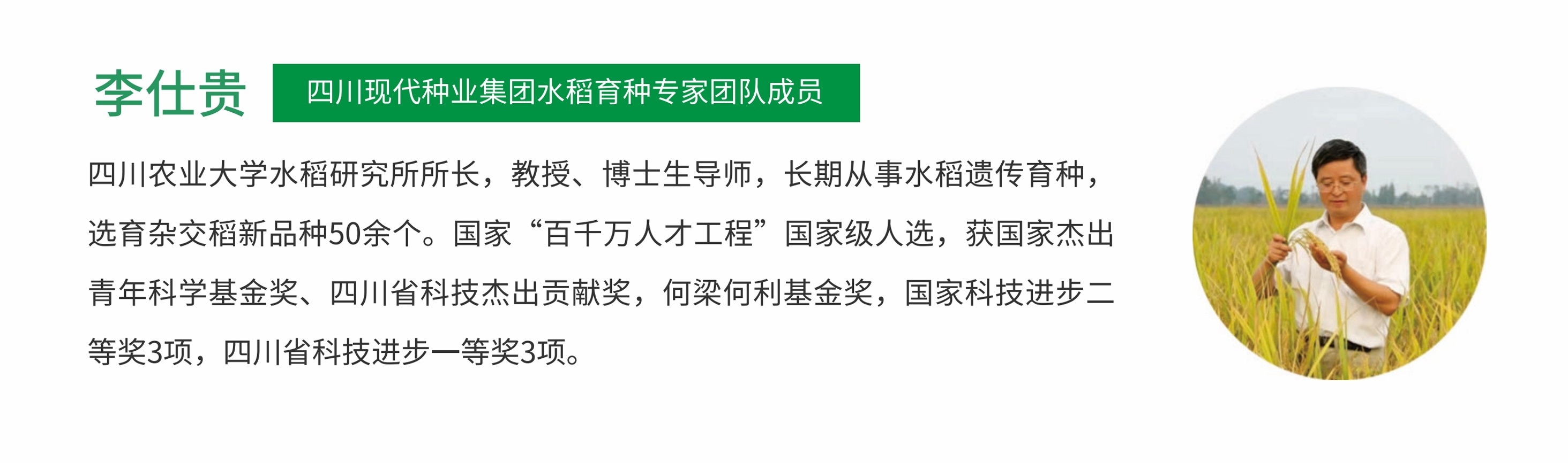 水稻专家_李.jpg