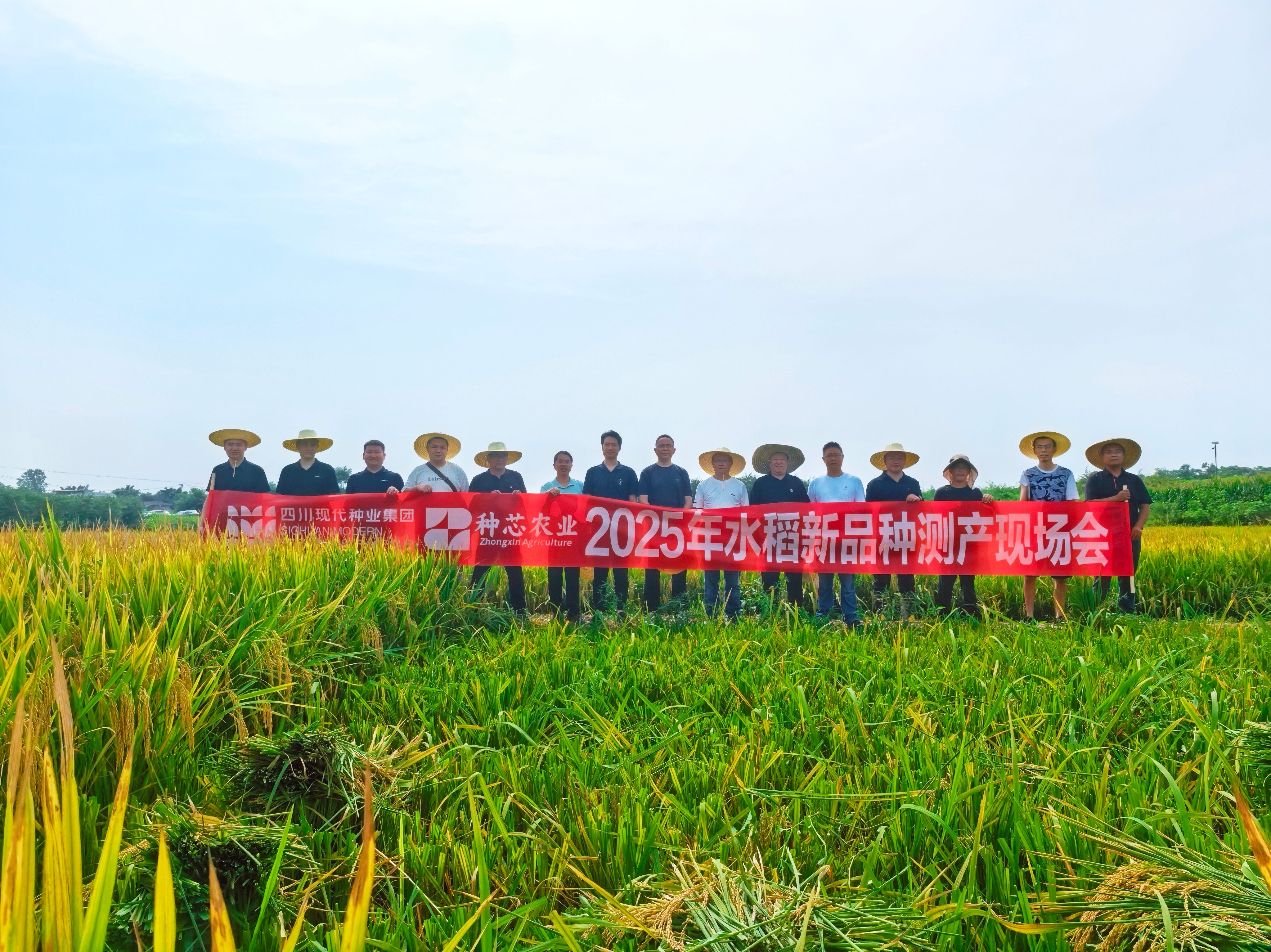 818种芯水稻测产会清澈pic1(1).jpg