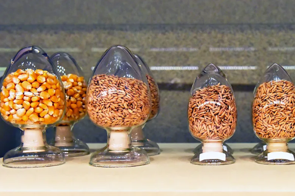 新一批非重要农作物登记种类布告颁布