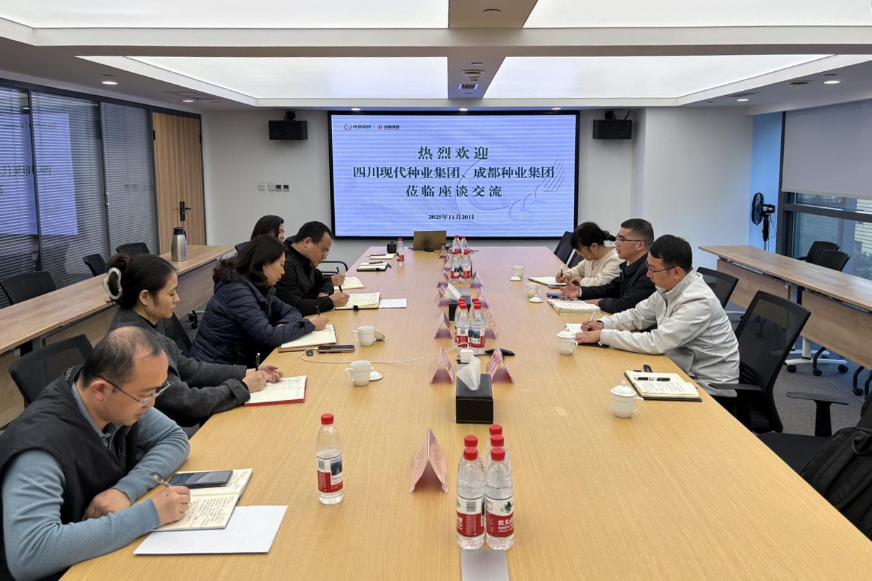 11.24蜀丰种源公司与成都粮食集团、成都种业集团发展合作洽谈pic.png