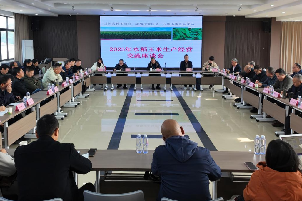 2025年水稻玉米出产经营情况互换座谈会在仲衍种业进行