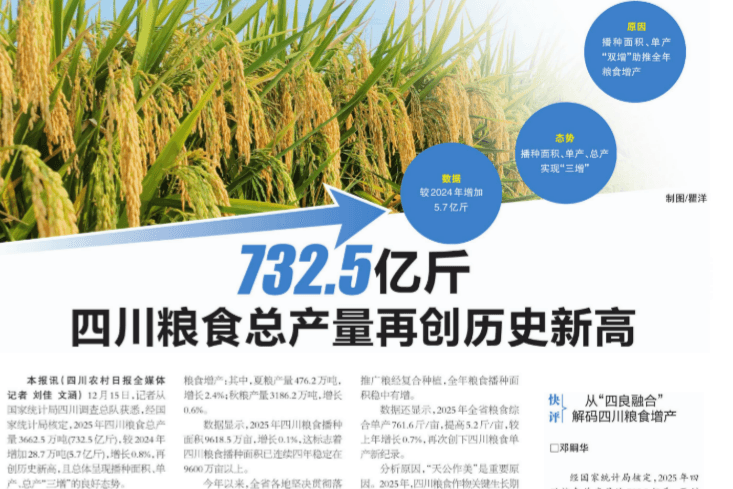 732.5 亿斤！“天府粮仓” 三连跳背后，，，，，，，四川种业筑牢增产主题密码