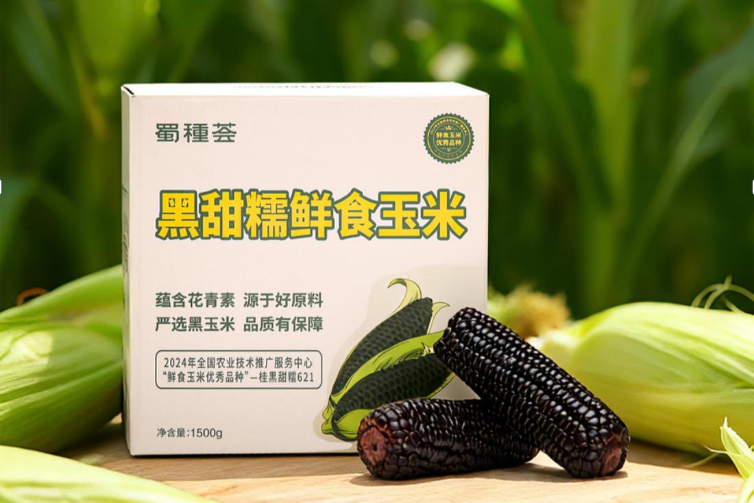 黑甜糯鲜食玉米