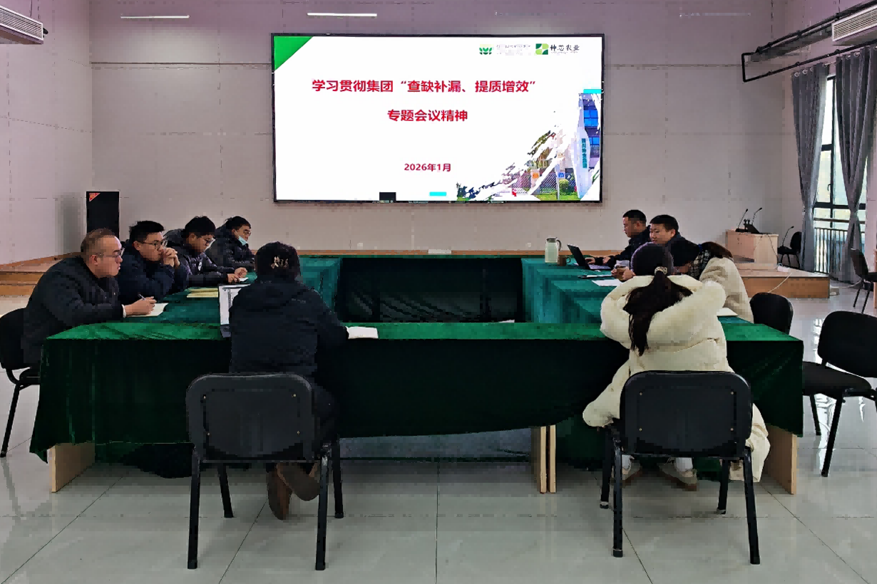 种芯农业公司召开专题会议 进建贯彻集团“查缺补漏、提质增效”专题座谈会议心灵