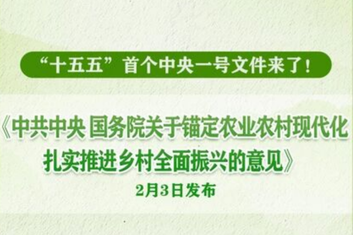 2026年中央一号文件，，，，，，，颁布！